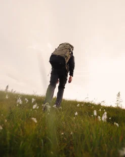 Trail Hike