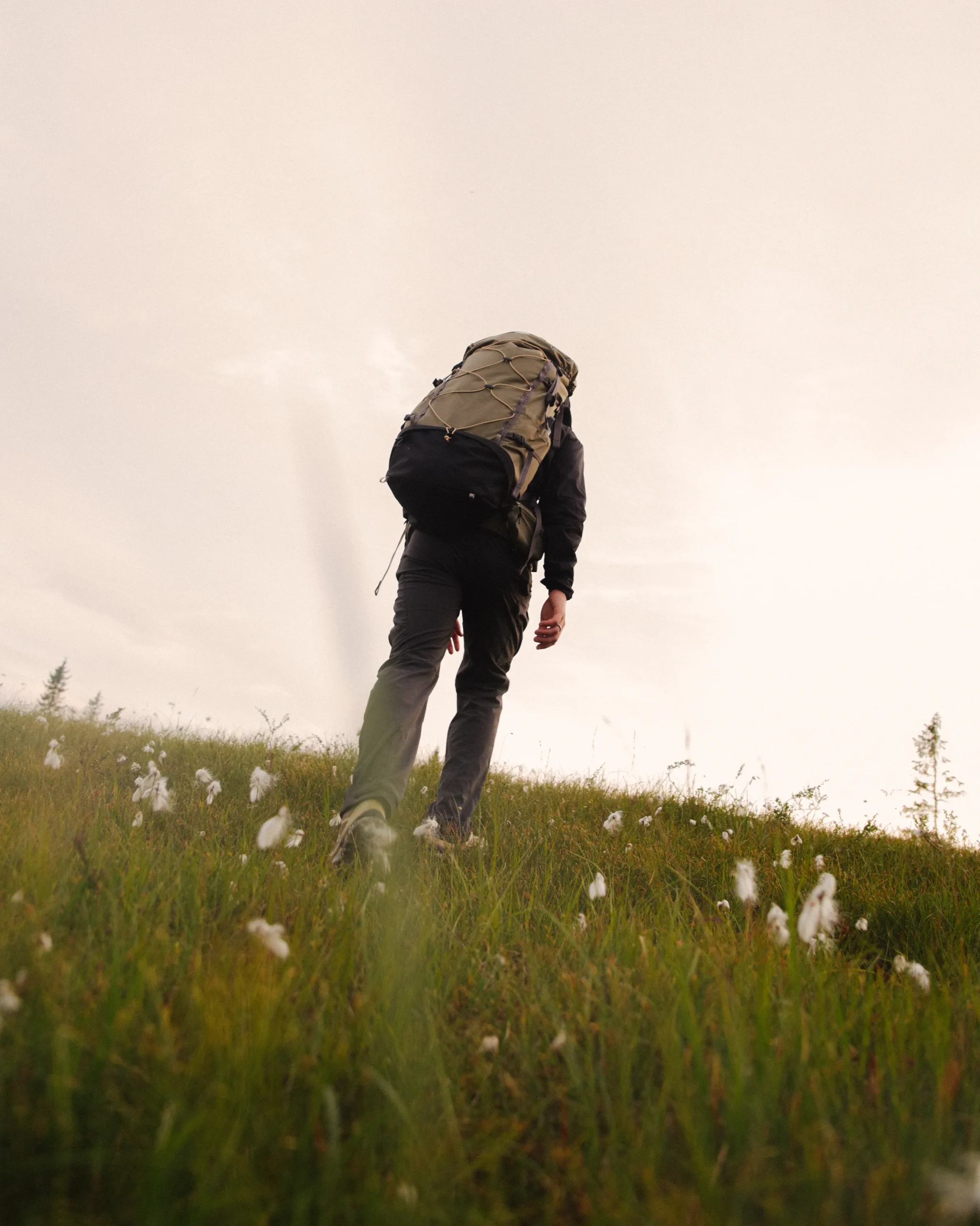 Trail Hike